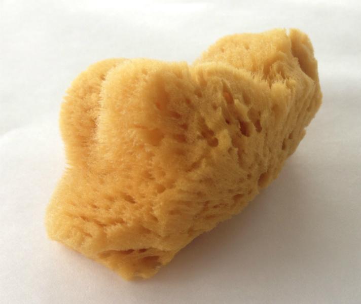 Akvarellsvamp äkta natursvamp finporig cirka 5cm