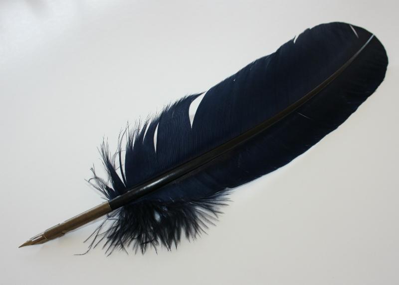 Fjäderpenna/Kalligrafipenna Manuscript Quill Pen Svart