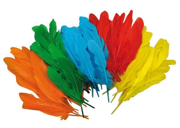 Indianfjädrar, blandade färger, 120/fp