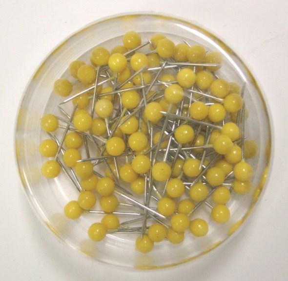 Kartnålar 19mm, Ø 4mm Gul 100/fp