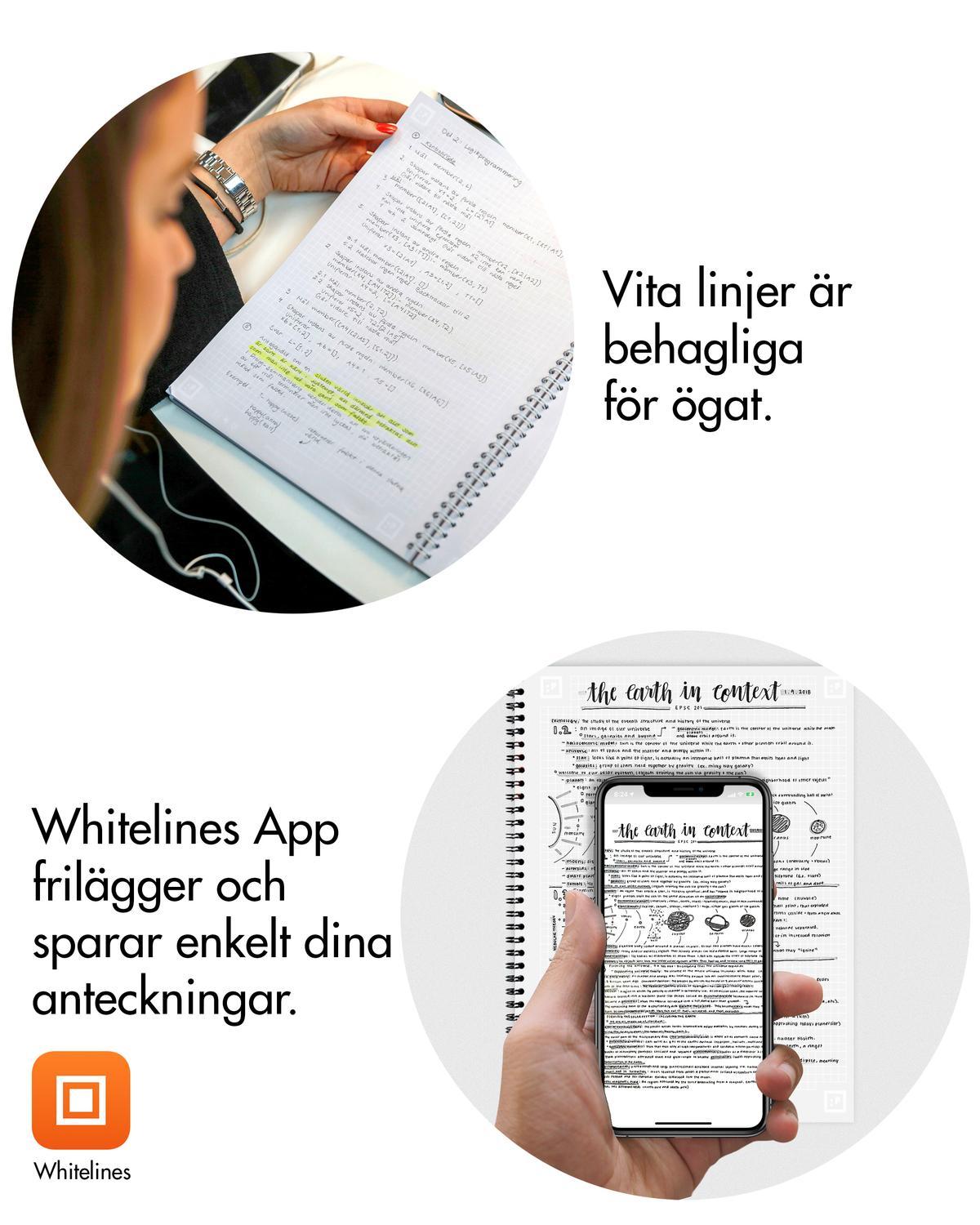 Kollegieblock Whitelines Link, A4, 60 blad, grått papper, vita stödlinjer, Linjerat 1/fp