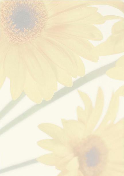 Motivpapper Sigel Finesse DP465 A4 90gram, 25 ark/fp