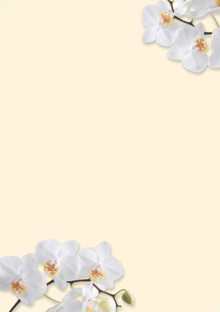 Motivpapper Sigel White Orchid DP904 A4 90gram, 50 ark/fp