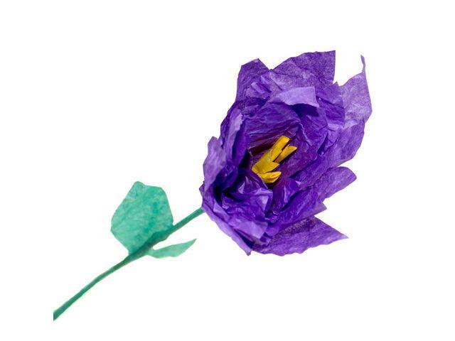 Silkespapper Lila 50x70cm 25 ark/fp