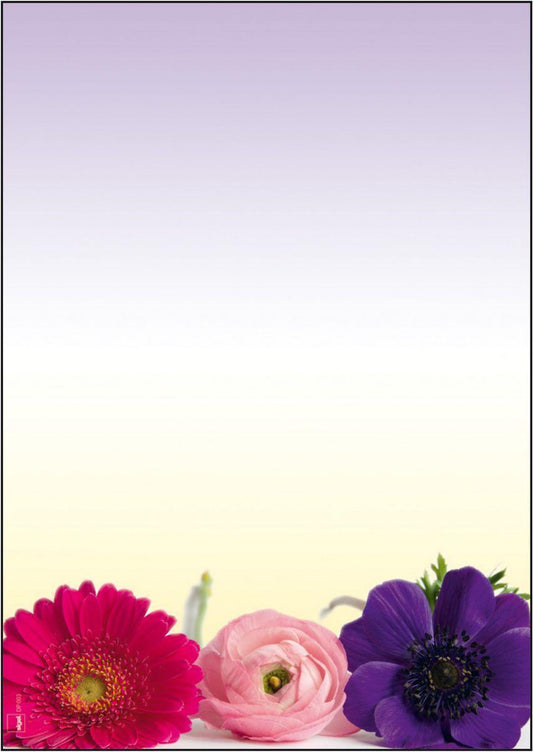 Motivpapper Sigel Flower Harmony DP003 A4 90gram, 50 ark/fp