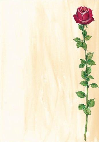 Motivpapper Sigel Rose Bloom DP695 A4 90gram, 25 ark/fp