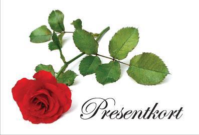 Presentkort Ros, 10 kort & 10 kuvert (tomma presentkort)