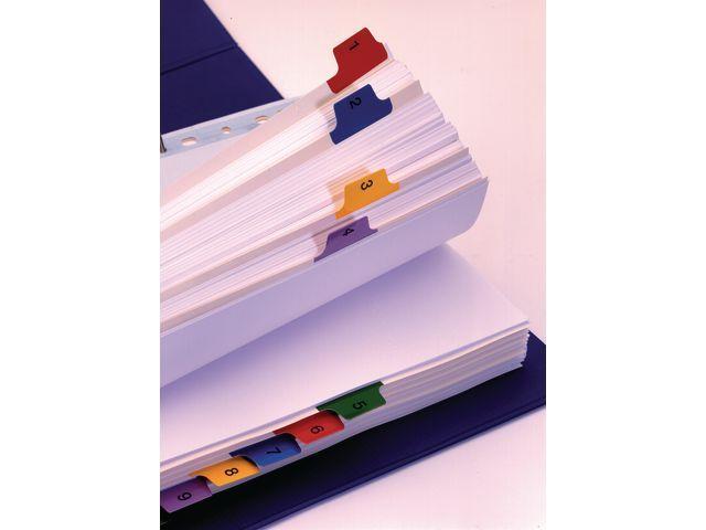 Pärmregister Esselte (100162) A4, 1-12 dubbelsidig 1/fp