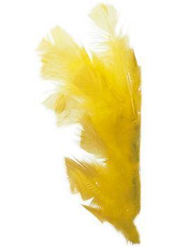 Påskfjädrar, gula, 48/fp (för påskpynt mm)